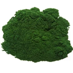 Natura d'Oriente Alga Spirulina in polvere