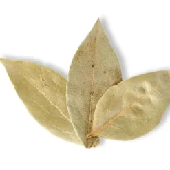 Natura d'Oriente Alloro in foglie