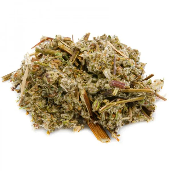Natura d'Oriente Artemisia volgare taglio tisana