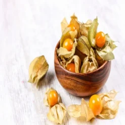 Natura d'Oriente Bacche di Inca Berries naturali (Physalis) Alkekengi