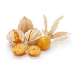 Natura d'Oriente Bacche di Inca Berries naturali (Physalis) Alkekengi