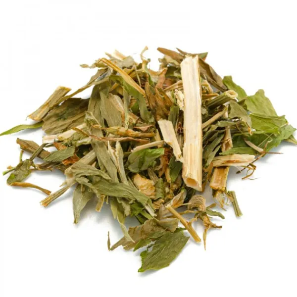 Natura d'Oriente Bacopa Monnieri Sommità Taglio Tisana vendita online