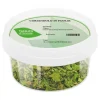 Natura d'Oriente Coriandolo in foglie