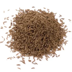 Natura d'Oriente Cumino in semi