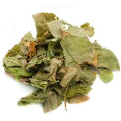 Natura d'Oriente Desmodium foglie taglio tisana