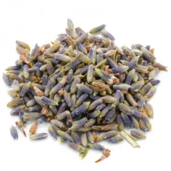 Natura d'Oriente Lavanda ibrida fiori mondi