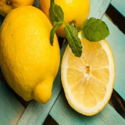 Natura d'Oriente Limone disidratato