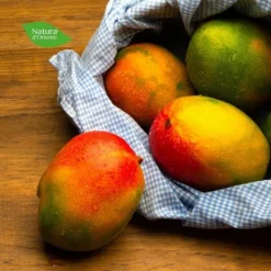 Natura d'Oriente Mango naturale disidratato senza zucchero