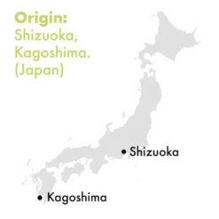 Natura d'Oriente Matcha Beginners bio