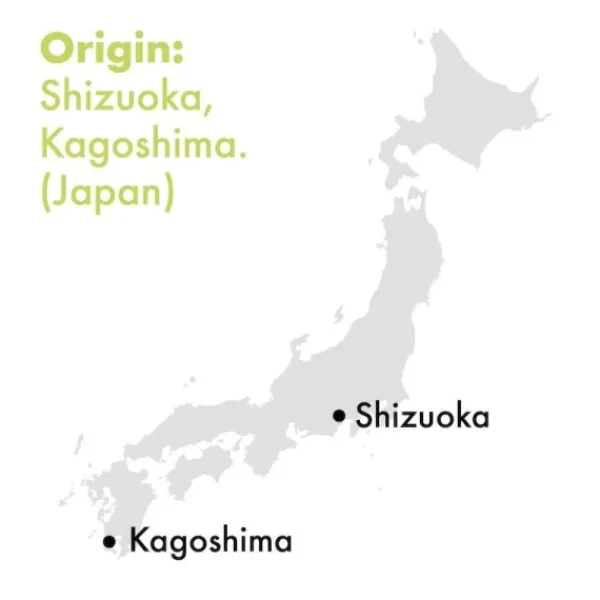 Natura d'Oriente Matcha Beginners bio