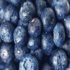 Natura d'Oriente Mirtilli blu disidratati