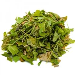 Natura d'Oriente Moringa Oleifera foglie taglio tisana