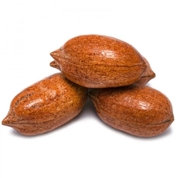 Natura d'Oriente Noci pecan con guscio