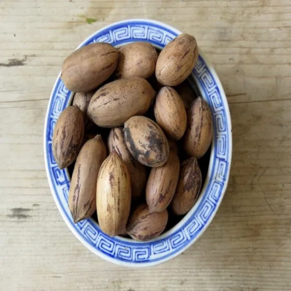 Natura d'Oriente Noci pecan con guscio