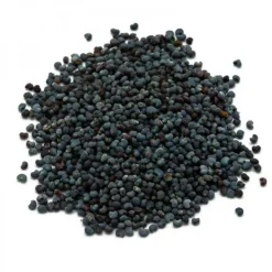 Natura d'Oriente Papavero semi