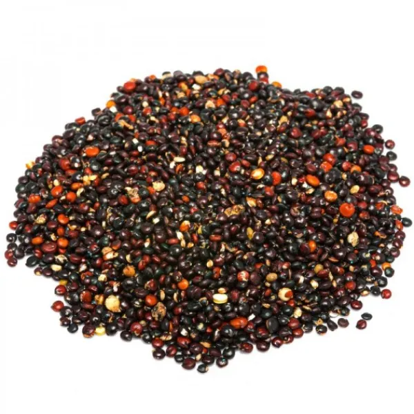 Natura d'Oriente Quinoa nera