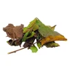 Natura d'Oriente Tè Bianco Superior Blend