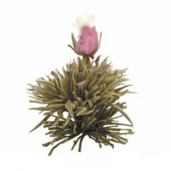 Natura d'Oriente Tè verde in fiore blooming tea